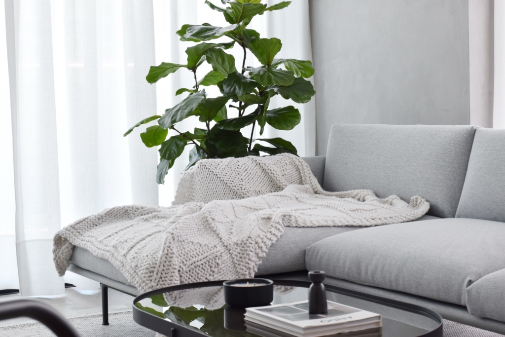 Casa MN — imagen 21